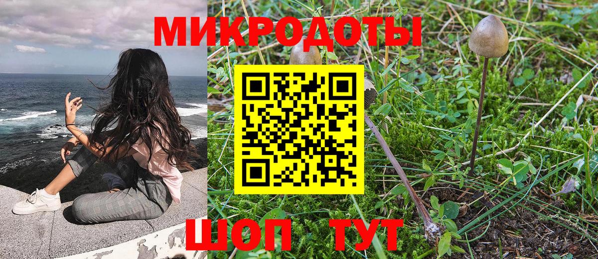 Псилоцибиновые грибы прущие грибы Гатчина