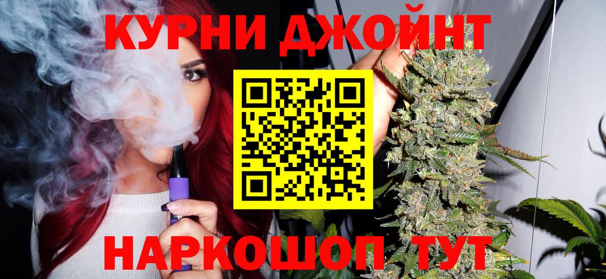 Конопля сатива Гатчина